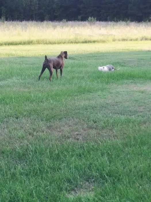 Animal Emergency Hospital of the Pee Dee Picture 6