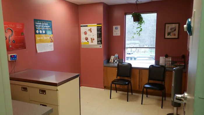 South Huntington Animal Hospital Picture 4