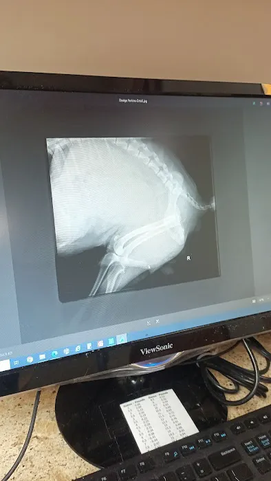 South Huntington Animal Hospital Picture 7