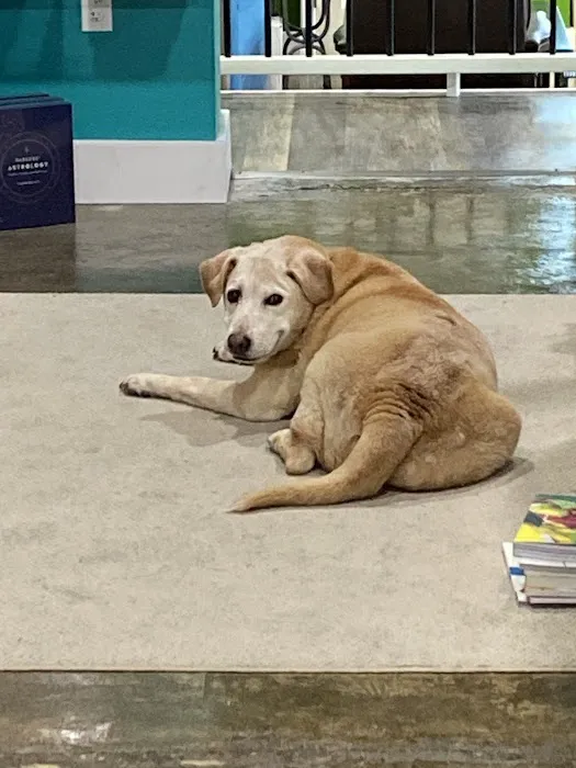 Stonecrest Animal Medical Center Picture 8