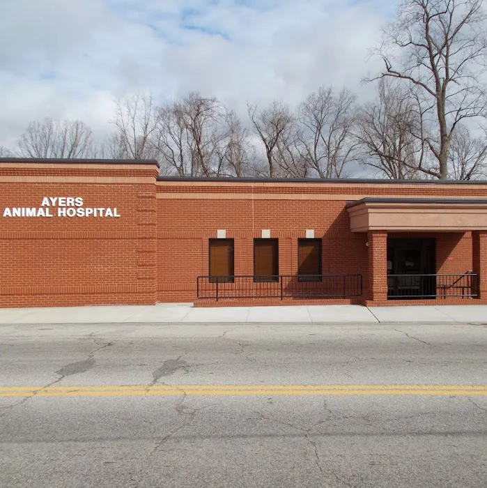 Ayers Animal Hospital Picture 1