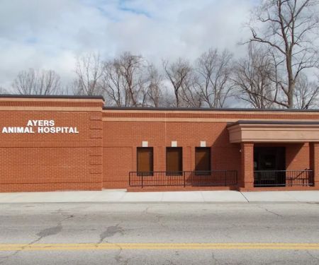 Ayers Animal Hospital