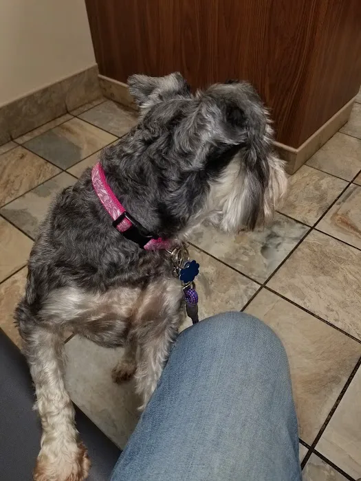 Ayers Animal Hospital Picture 7