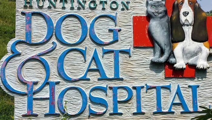 Huntington Dog & Cat Hospital Picture 6
