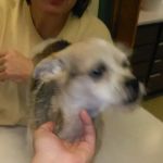 Animal Care Clinic Inc