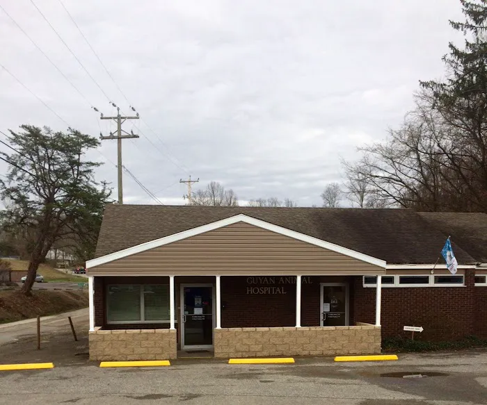 Guyan Animal Hospital Picture 2