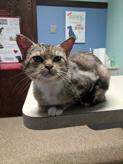 Guyan Animal Hospital Picture 1