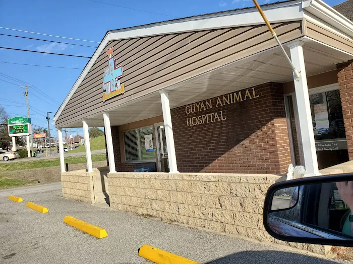 Guyan Animal Hospital Picture 5
