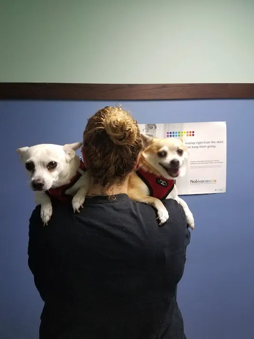 Guyan Animal Hospital Picture 6