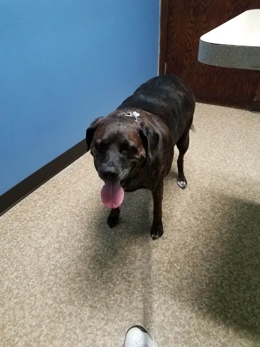 Guyan Animal Hospital Picture 8