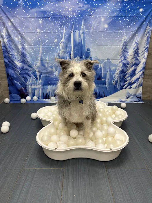 Banfield Pet Hospital Picture 2