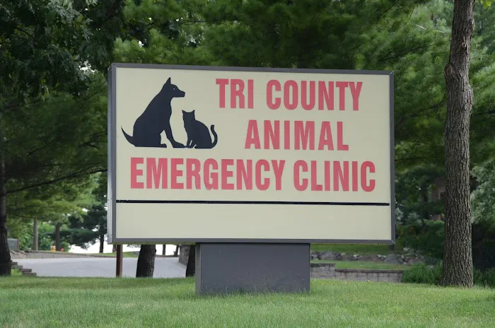 Tri County Animal Emergency Clinic Picture 6