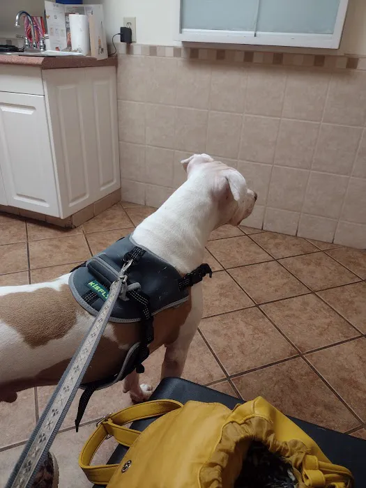 Pekin Veterinary Clinic: Walsh Jami S DVM Picture 2