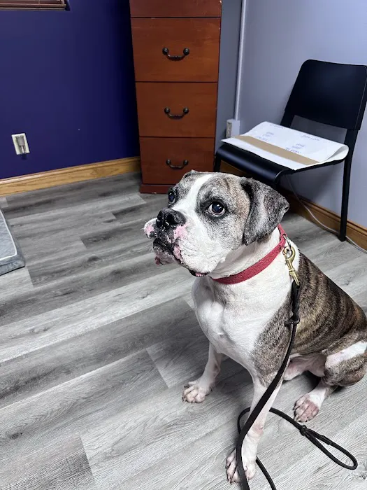 Pekin Veterinary Clinic Picture 6