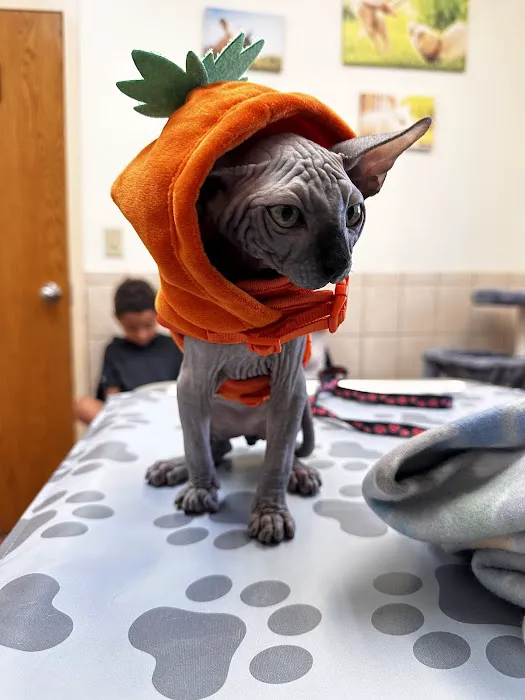 Pekin Veterinary Clinic Picture 10