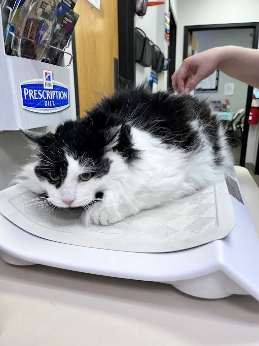 Pekin Veterinary Clinic Picture 9