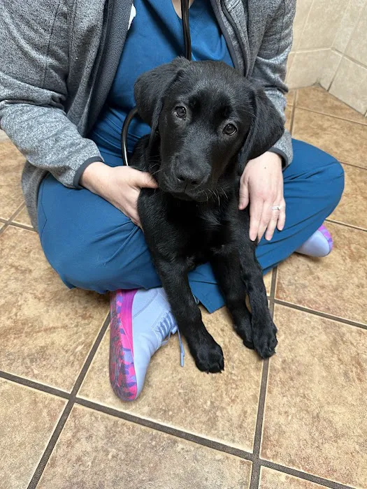 Pekin Veterinary Clinic Picture 8