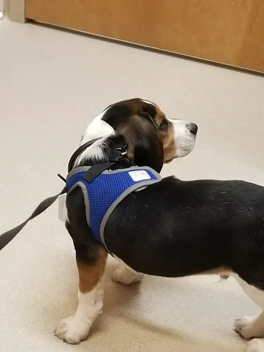Pekin Animal Hospital Picture 5