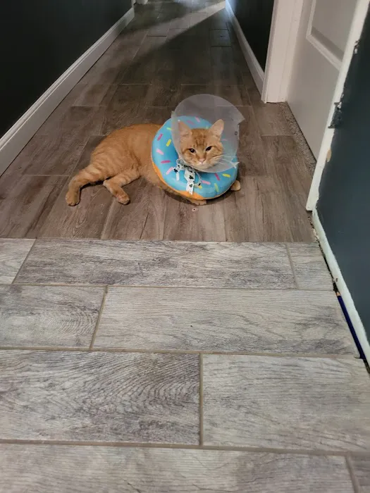 Hometown Veterinary Clinic Picture 6