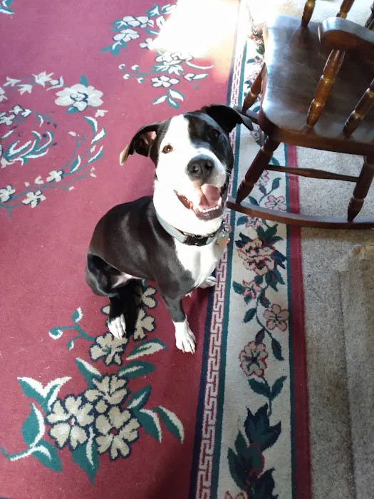 Hometown Veterinary Clinic Picture 7