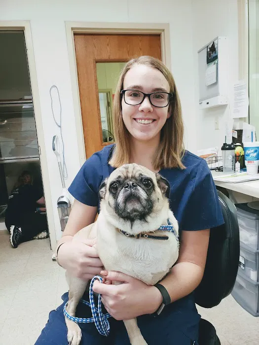 Brown Animal Hospital Picture 4