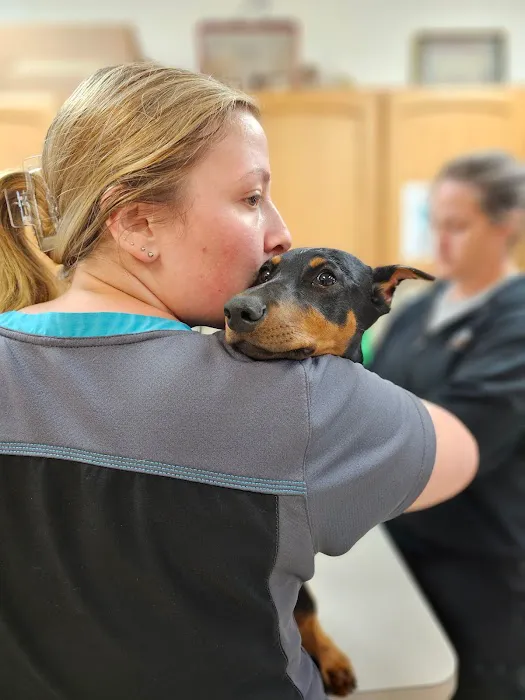 Brown Animal Hospital Picture 6