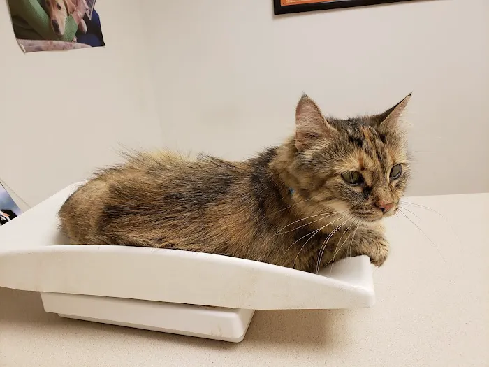 Brown Animal Hospital Picture 3