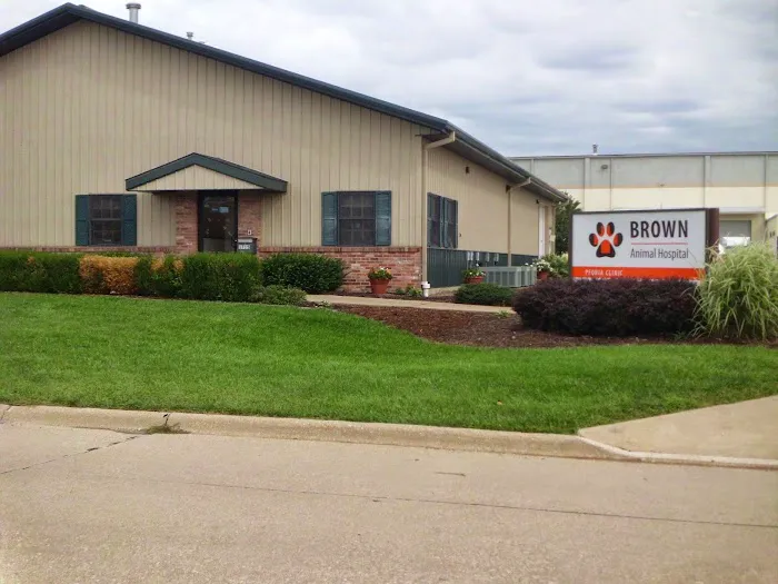 Brown Animal Hospital Picture 8