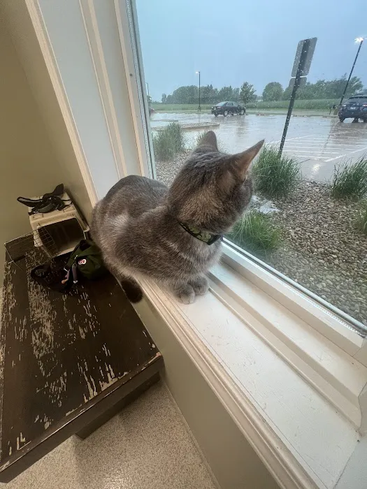 Meadowbrook Veterinary Clinic - North Picture 4
