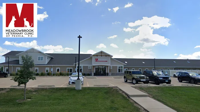 Meadowbrook Veterinary Clinic - North Picture 9