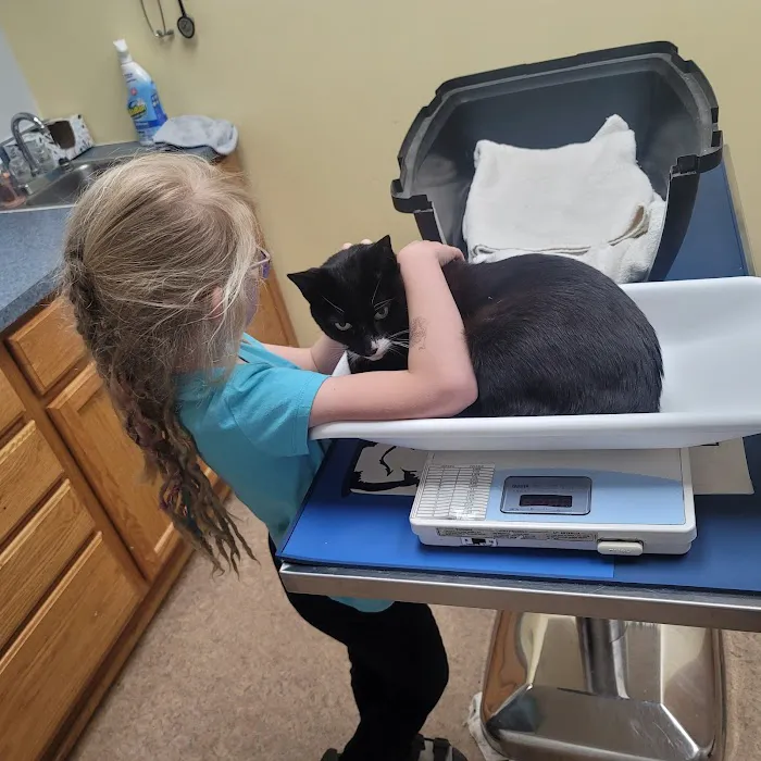 Peoria Area Veterinary Group of Peoria Picture 2