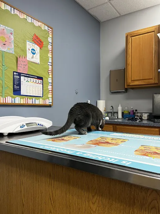 Peoria Area Veterinary Group of Peoria Picture 6