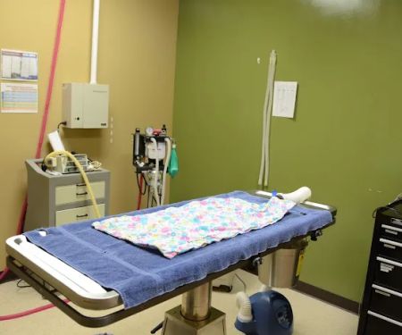 Prairie Animal Hospital