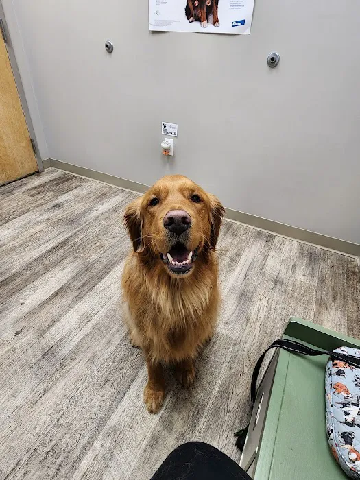 Prairie Animal Hospital Picture 3