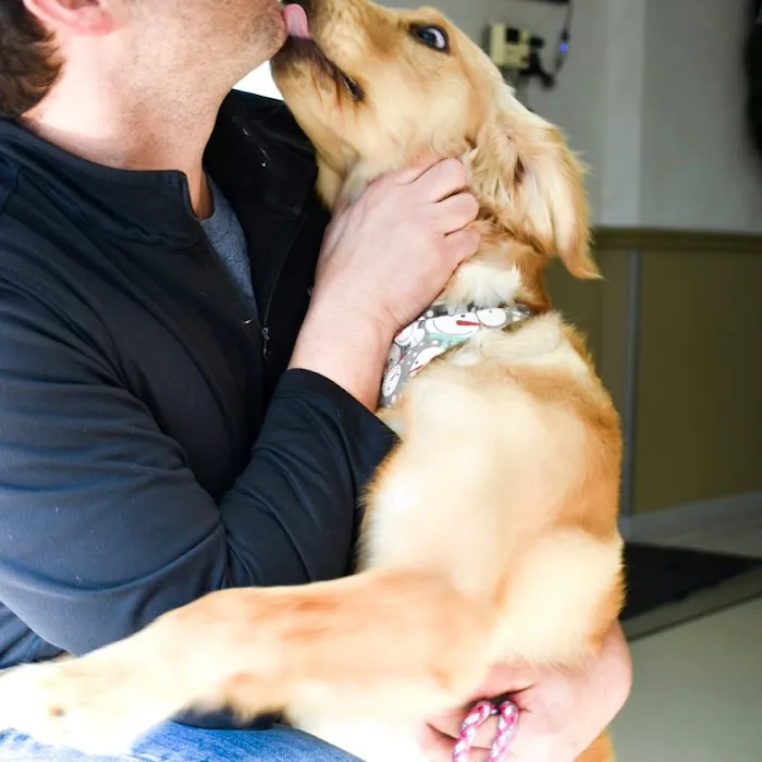 BIG HOLLOW COMPANION ANIMAL HOSPITAL Picture 10