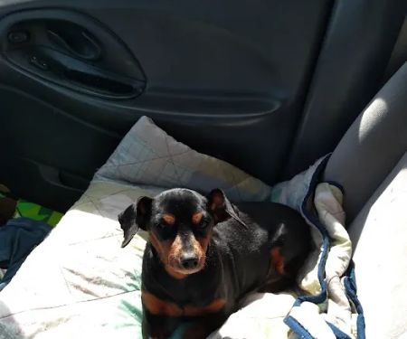 Veterinary Clinic-Prophetstown