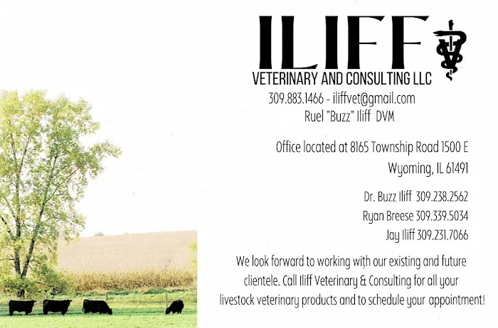 Iliff Veterinary & Consulting LLC Picture 4