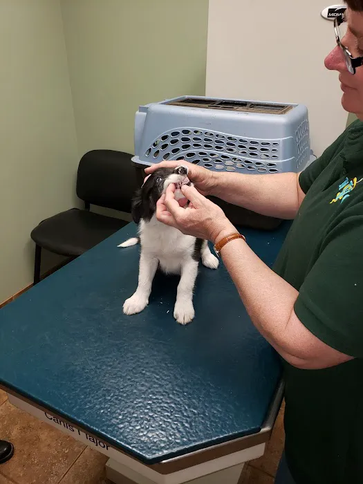 Northern Illinois Veterinary Services Picture 6