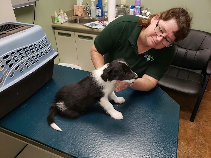 Northern Illinois Veterinary Services Picture 9