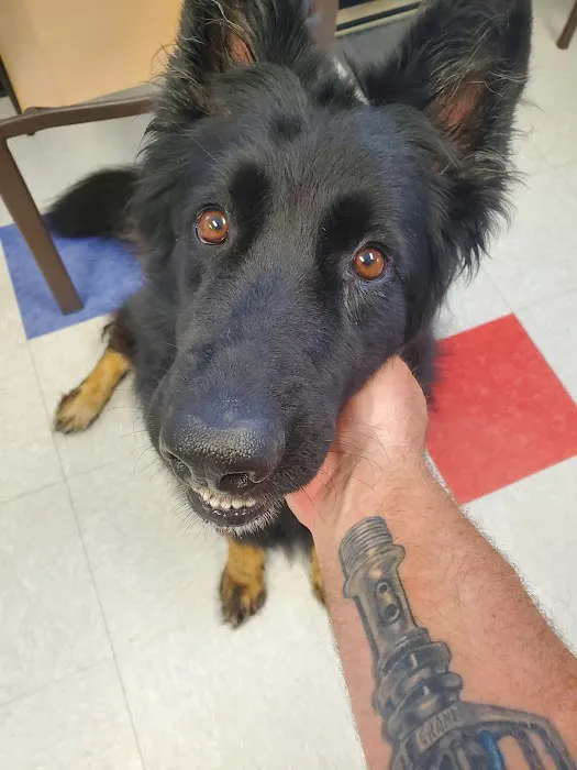 Morrison Veterinary Clinic Picture 1