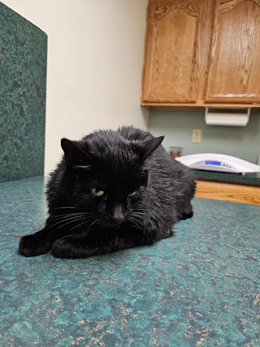 Winnebago Animal Clinic Picture 2