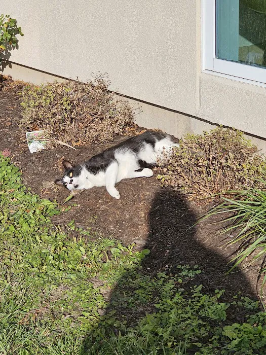 Winnebago Animal Clinic Picture 5