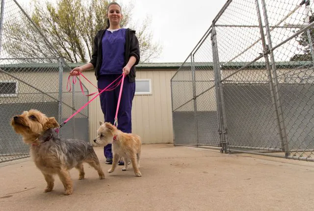 Winnebago Animal Clinic Picture 8