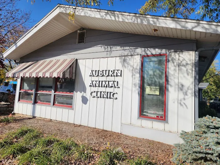 Auburn Animal Clinic Picture 4