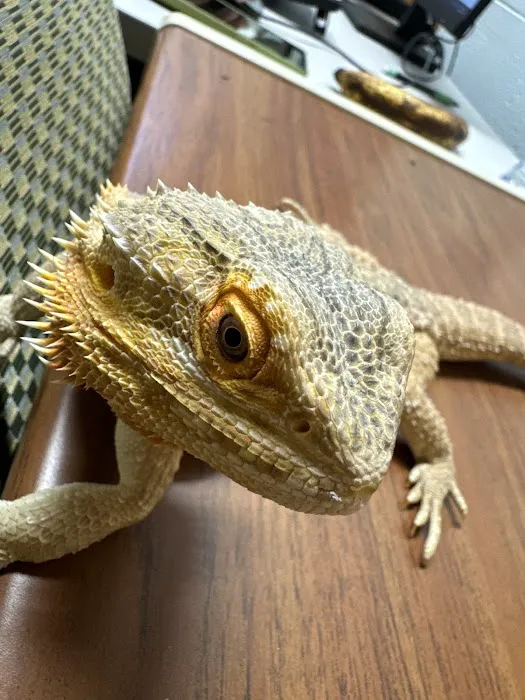 Auburn Animal Clinic Picture 9