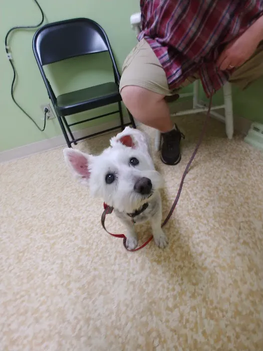 Auburn Animal Clinic Picture 8