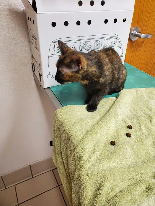 Hillcrest Animal Hospital Picture 5