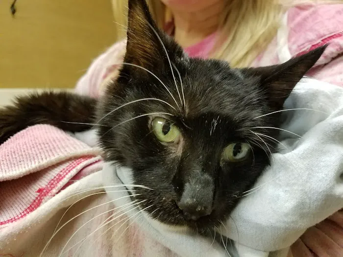 Hillcrest Animal Hospital Picture 6