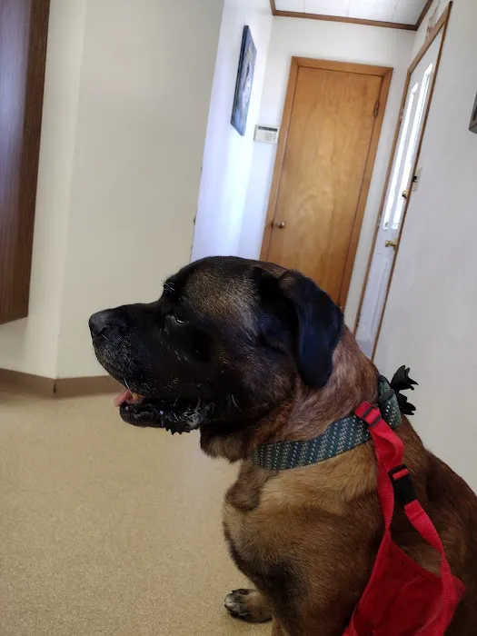 Companion Animal Clinic Picture 3