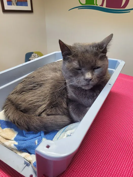 Lakeview Veterinary Care Picture 10